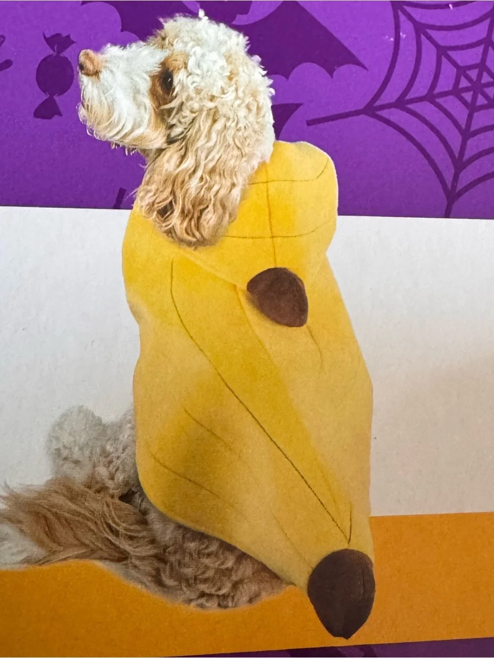 Yellow Banana Dog Costume Hoodie by